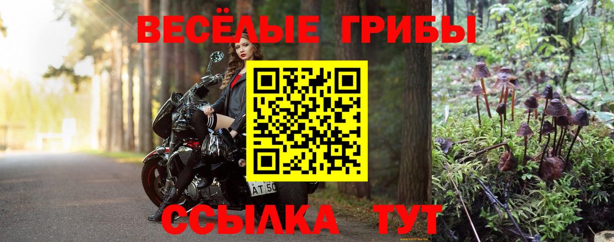Галлюциногенные грибы GOLDEN TEACHER Джанкой