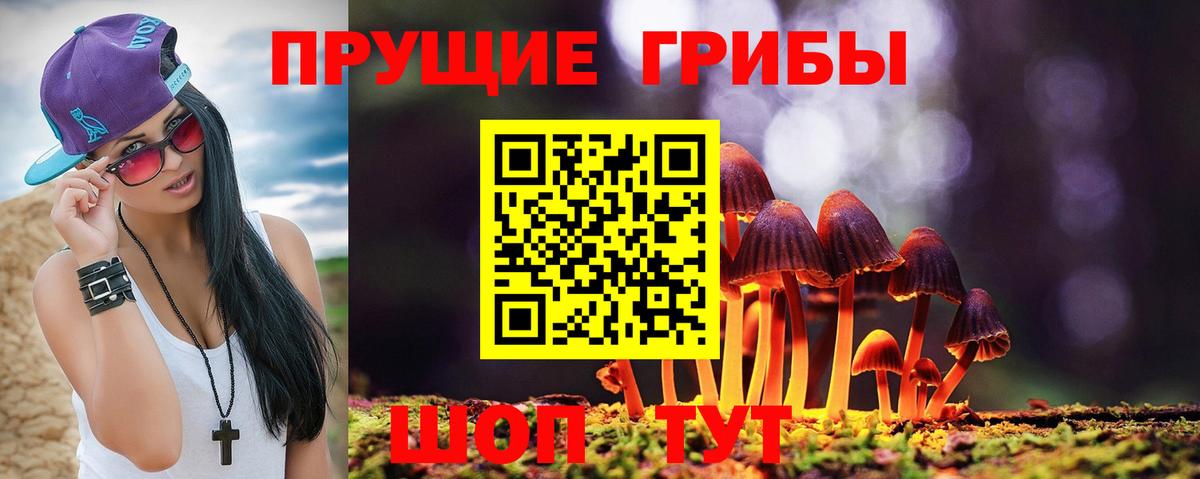 Псилоцибиновые грибы прущие грибы  Галлюциногенные грибы мухоморы  Джанкой  цена   Вход с VPN 